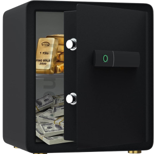 Fingerprint Office Safe